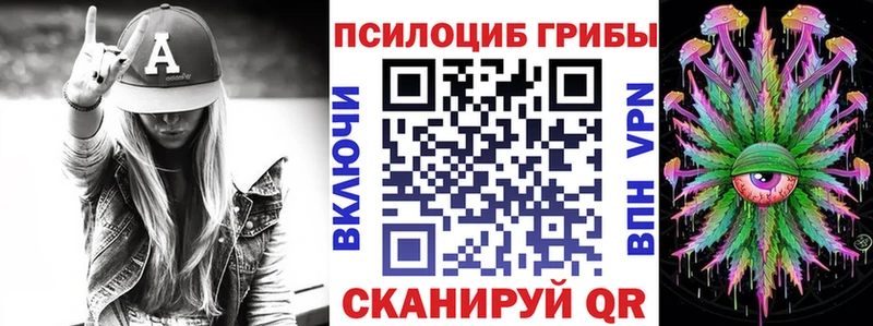 kraken онион Бийск Псилоцибиновые грибы прущие грибы